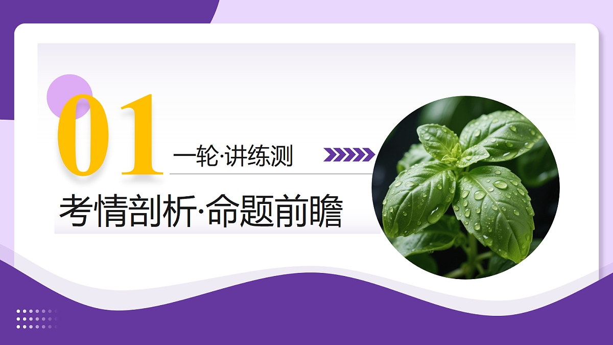 18268716第3页