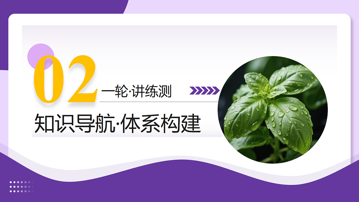 18268716第7页
