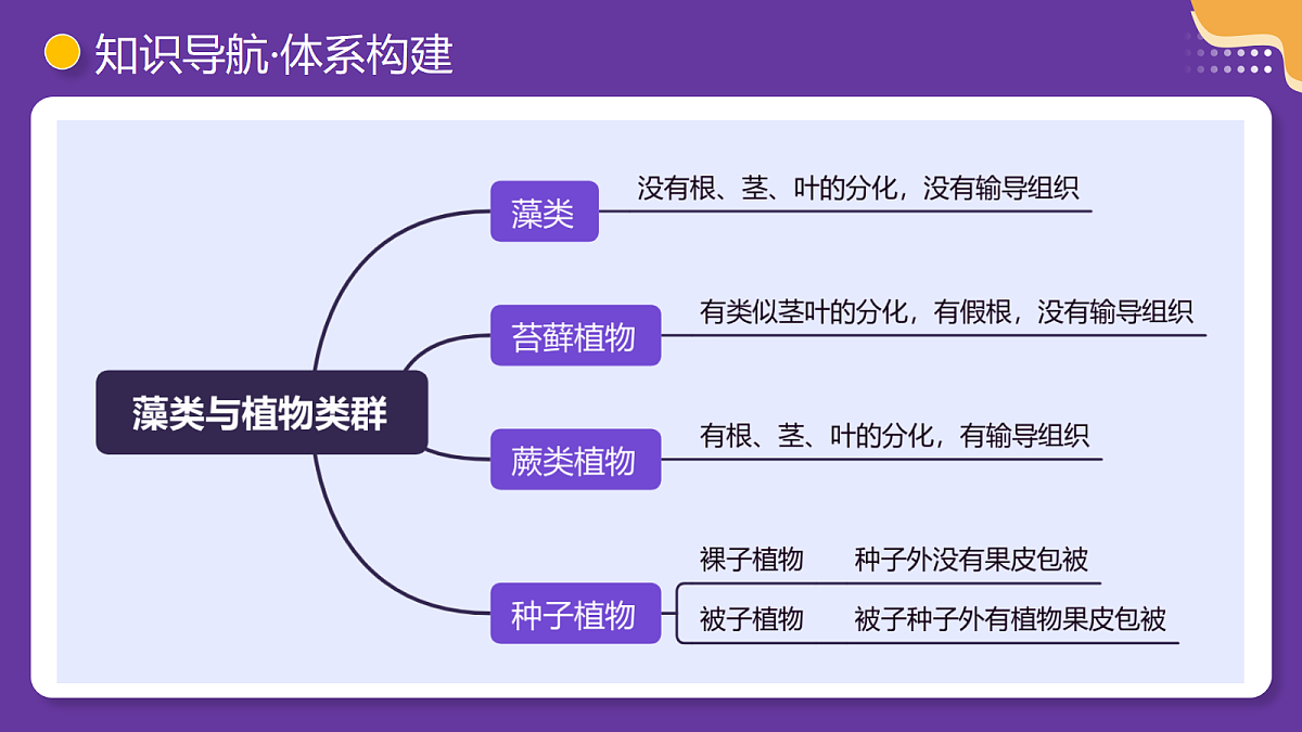 18268716第8页