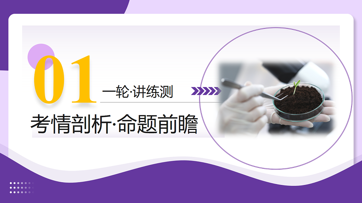 18268732第3页