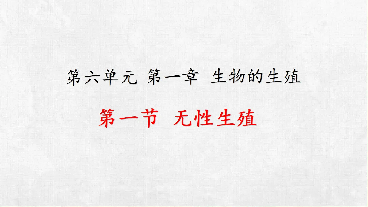 18268992第1页