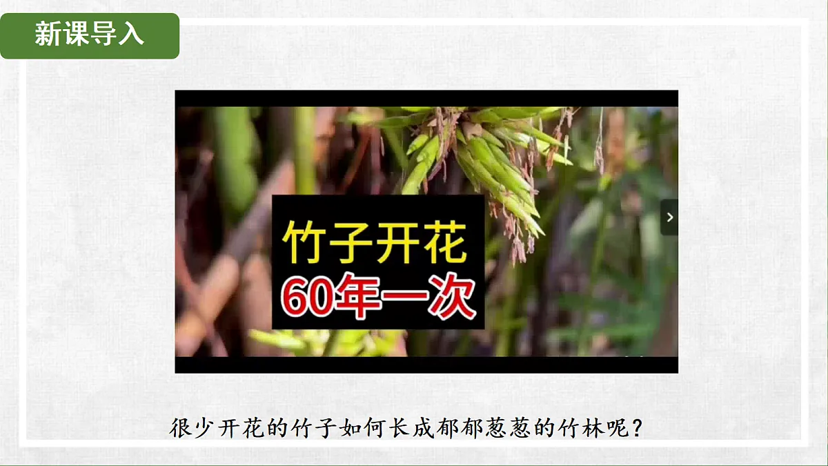 18268992第2页