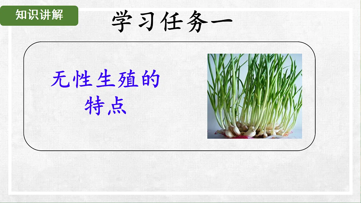 18268992第4页