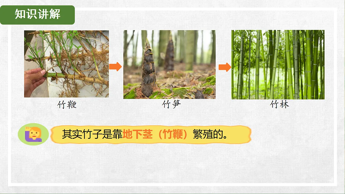 18268992第5页