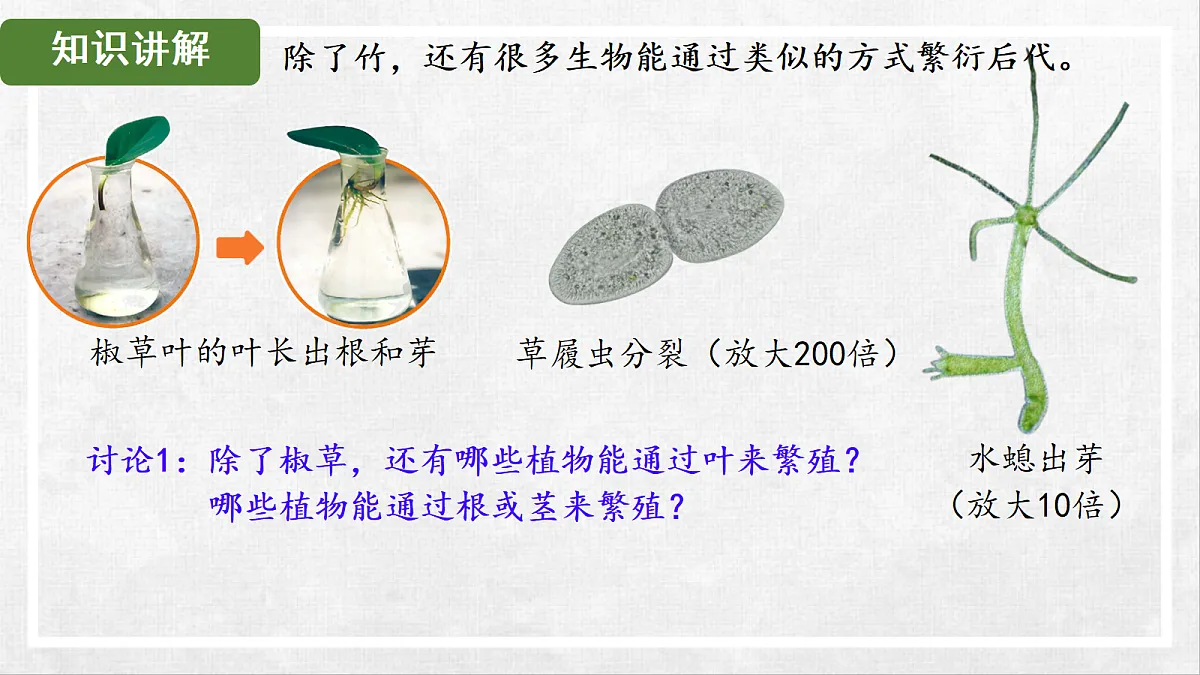 18268992第6页