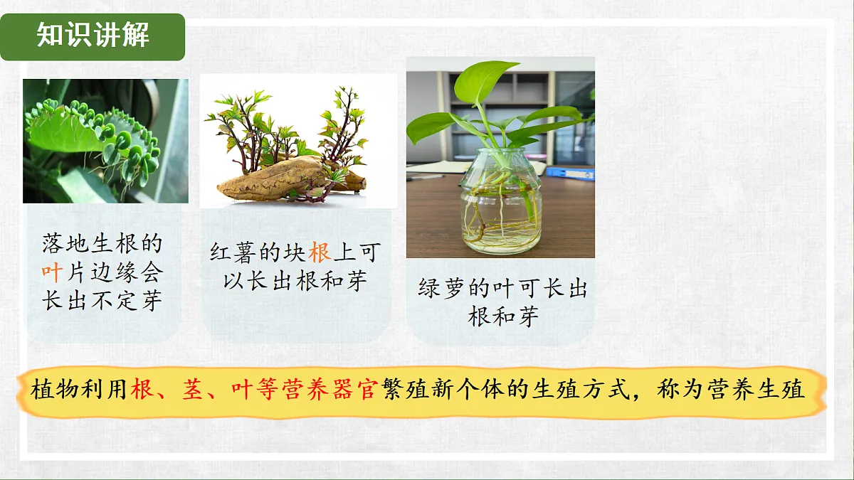 18268992第7页