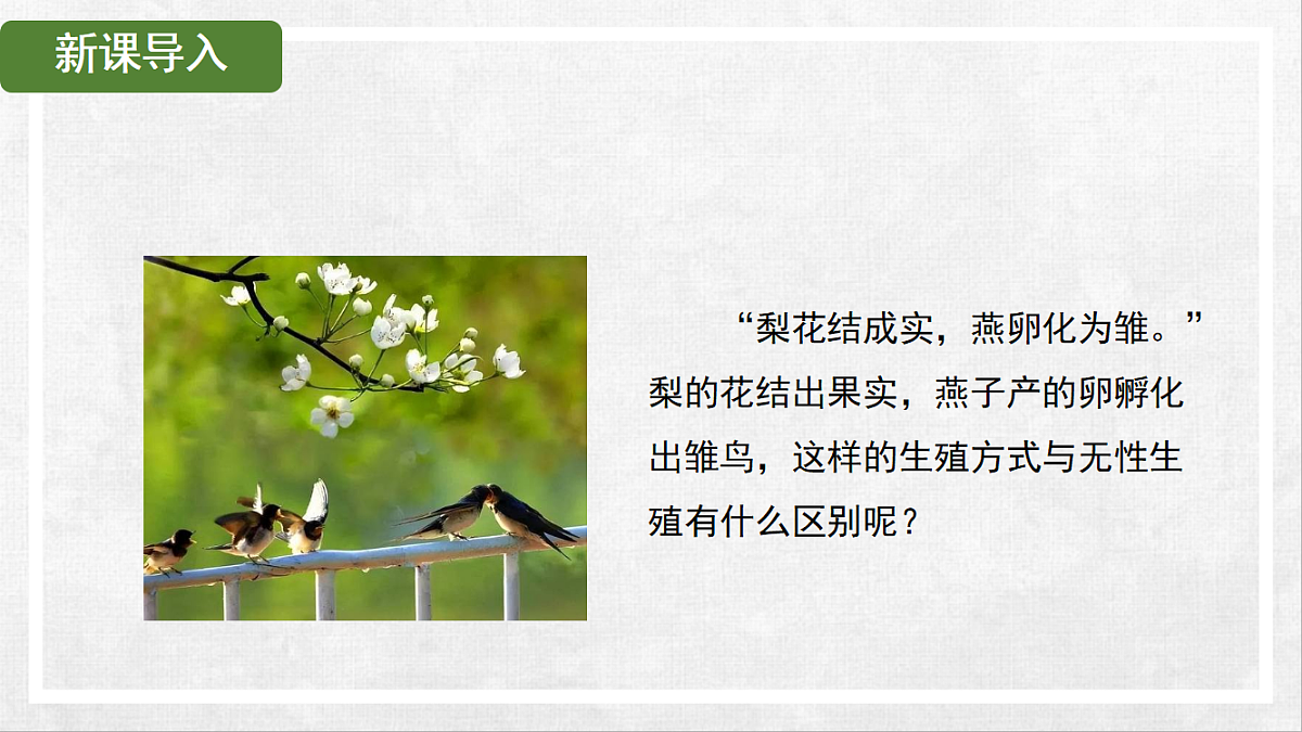 18268994第2页