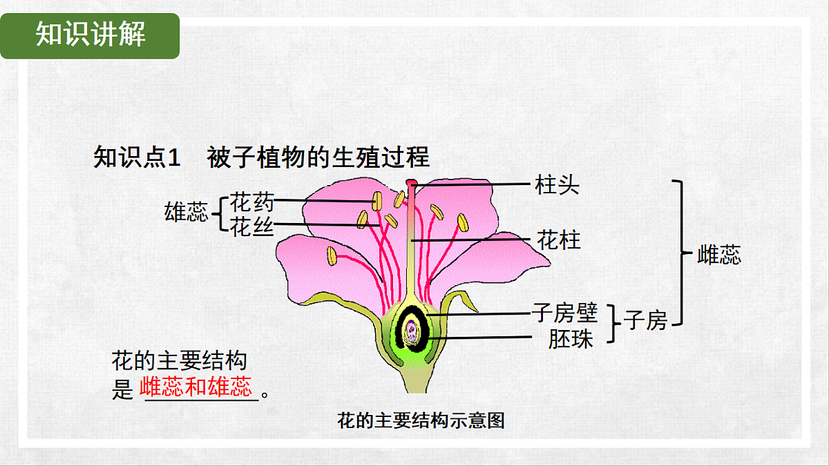 18268994第4页