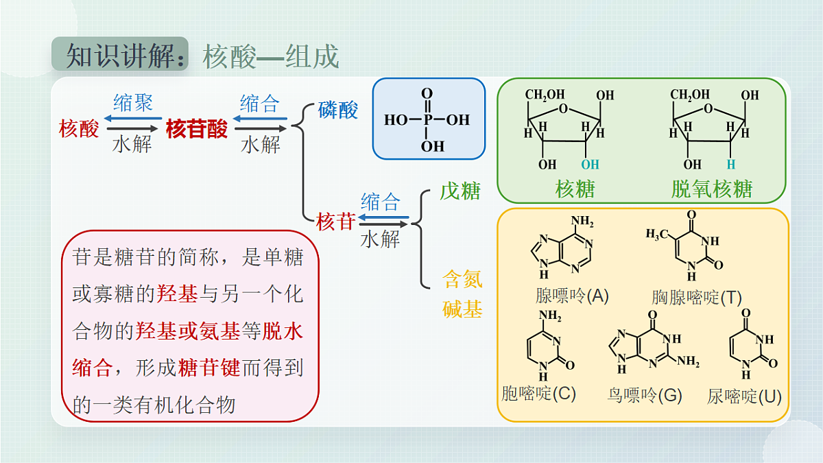 18270363第5页