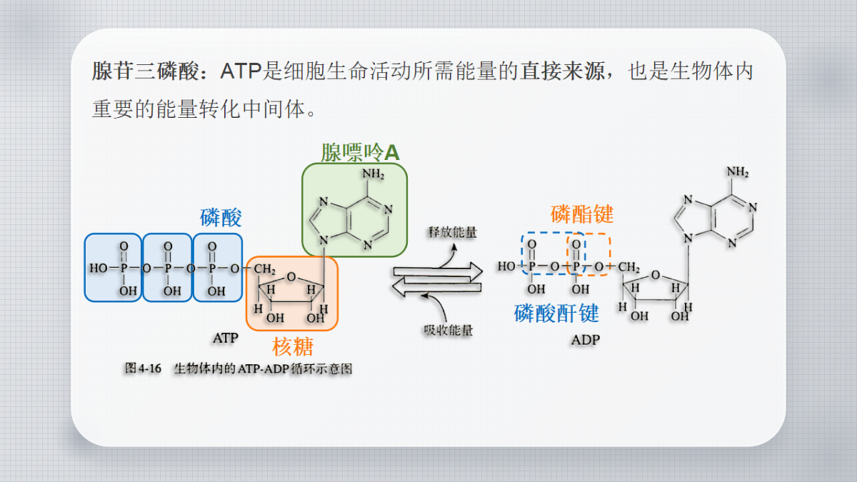 18270363第7页
