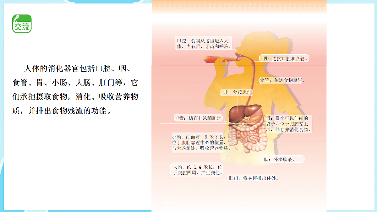 18271062第8页