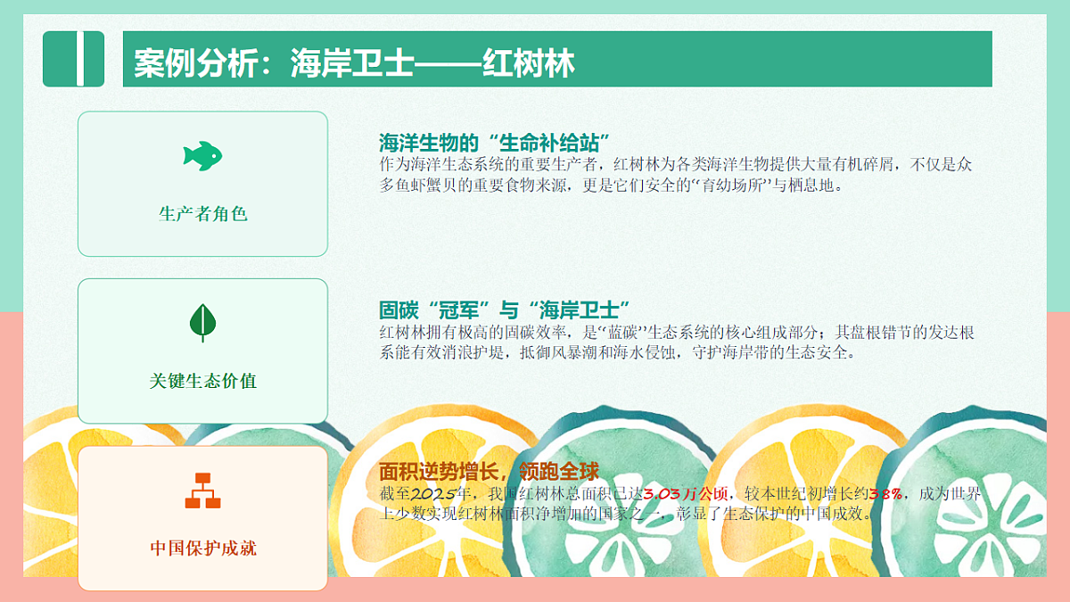 18271134第6页