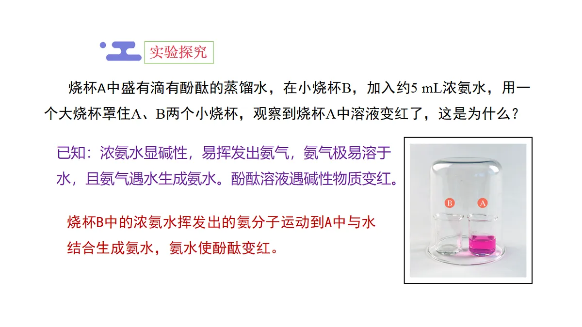 18271164第8页