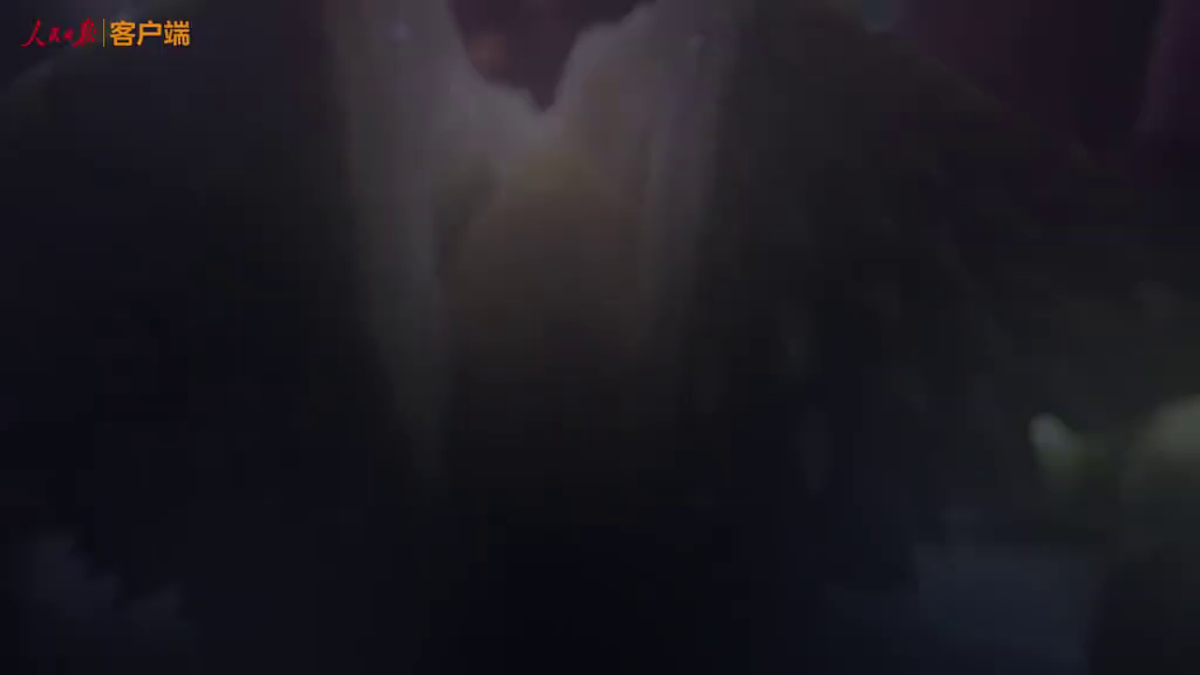 18271263第2页