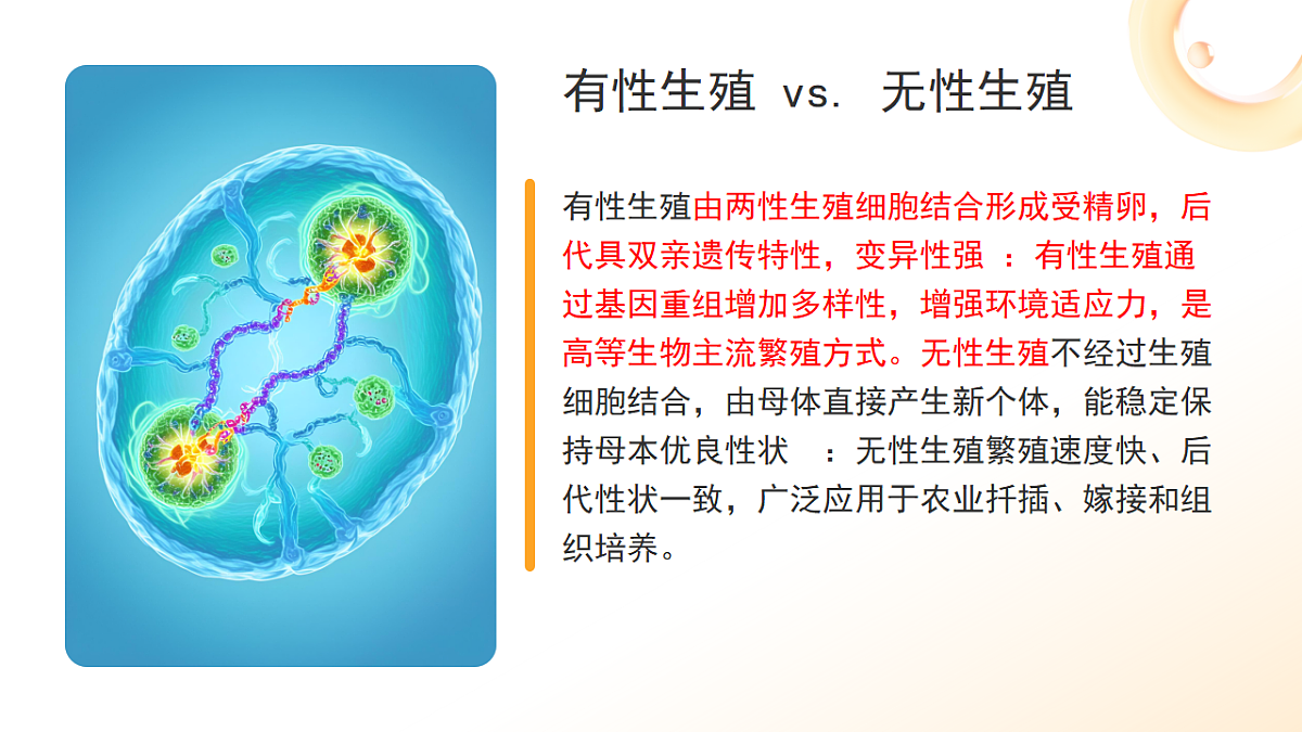 18271291第4页