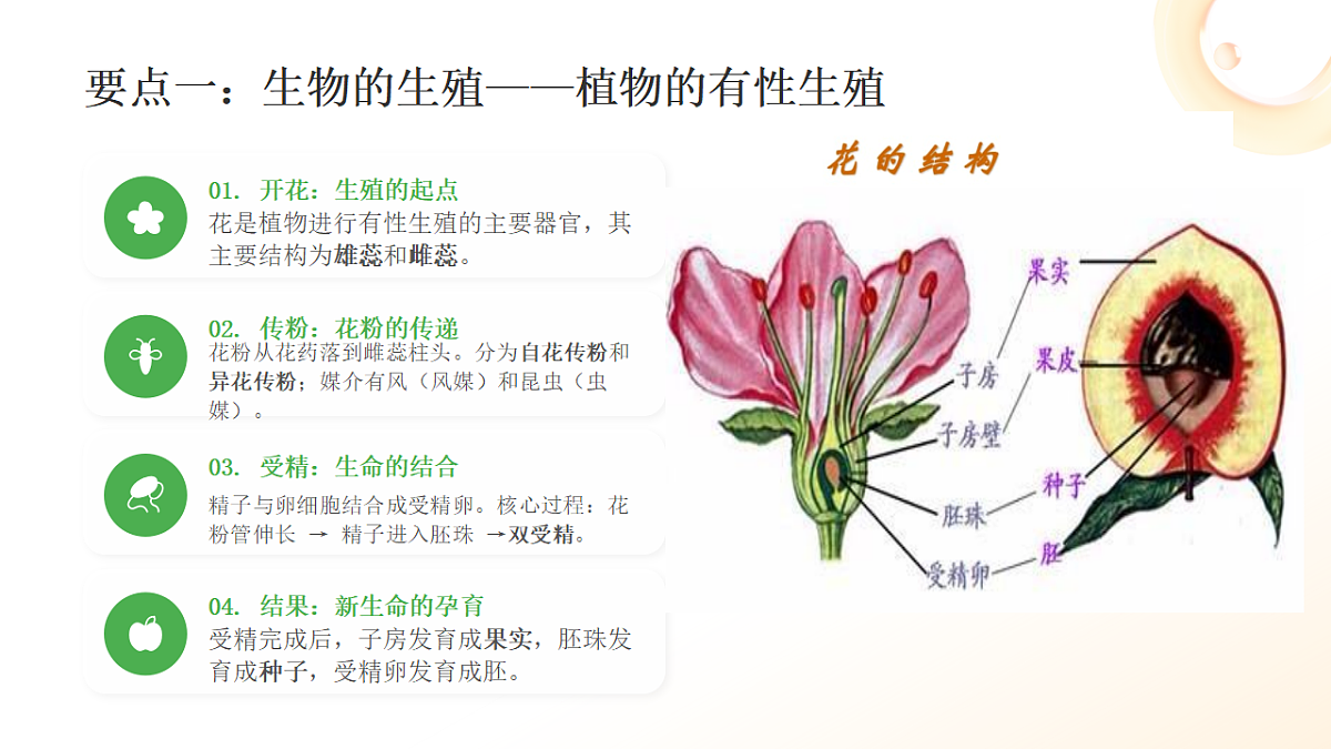 18271291第5页