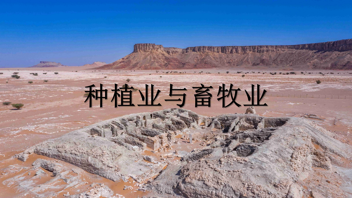 18271478第5页