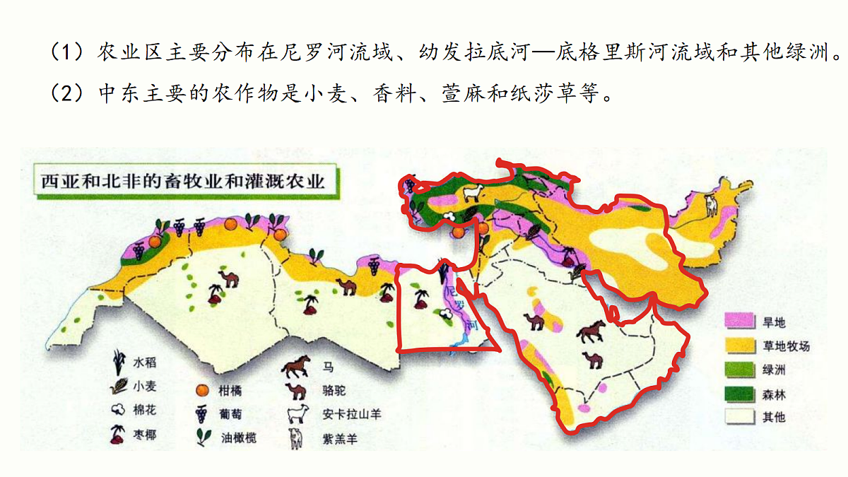 18271478第7页