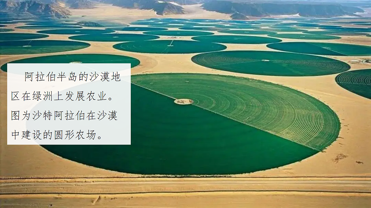 18271478第8页