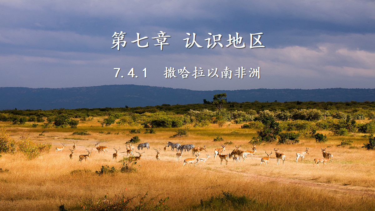 18271481第1页
