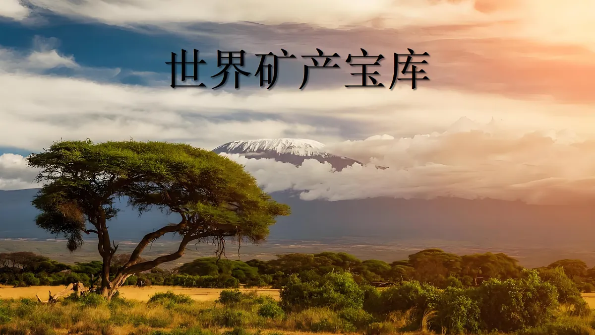 18271482第5页