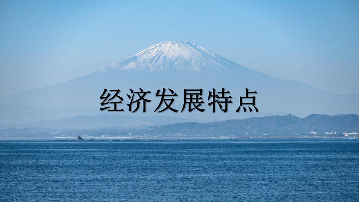 18271486第5页