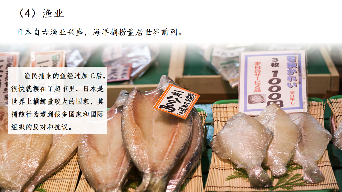 18271486第8页