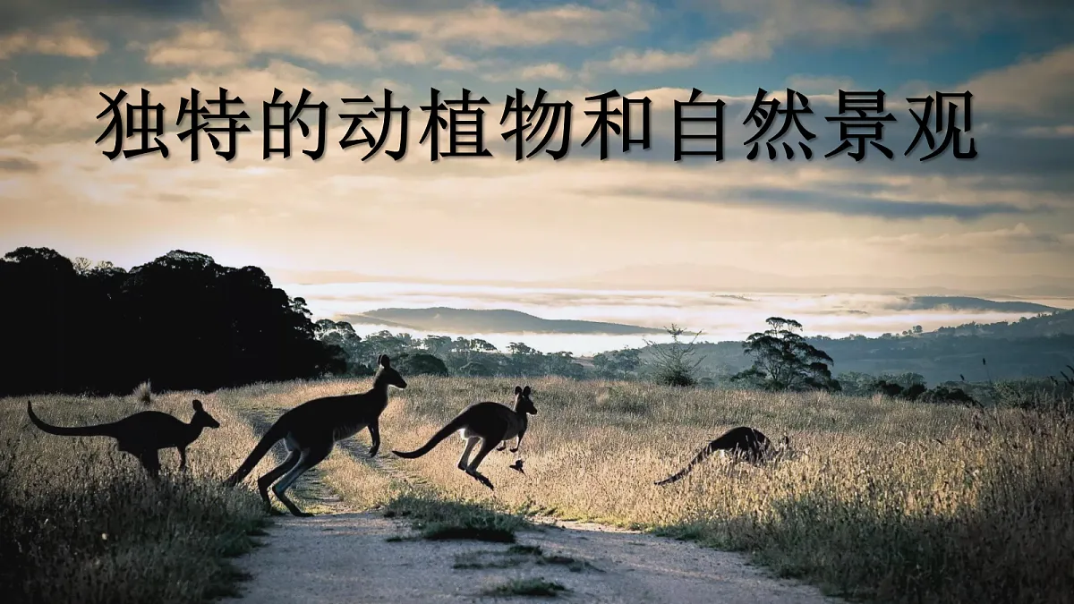 18271490第5页