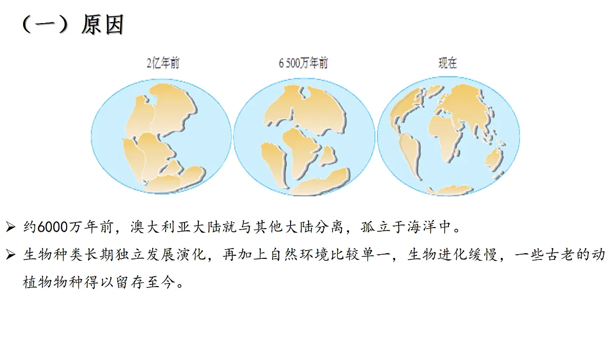 18271490第6页