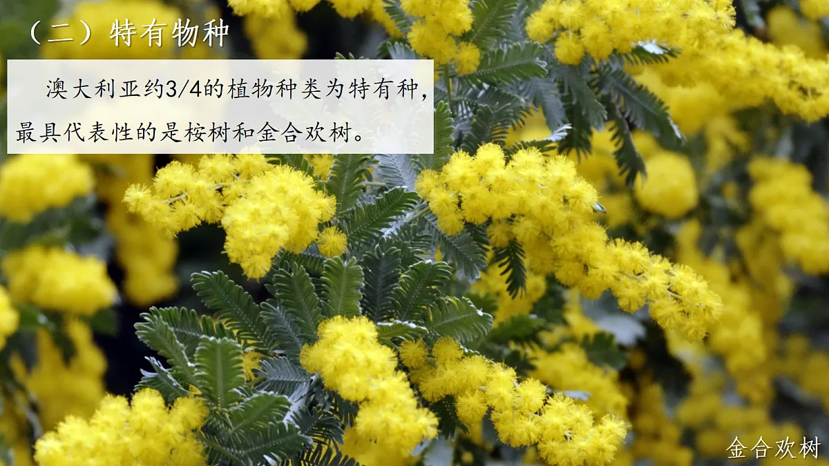 18271490第7页