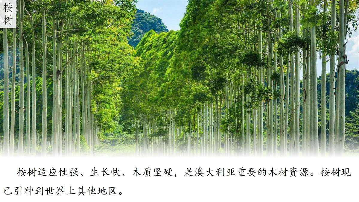18271490第8页