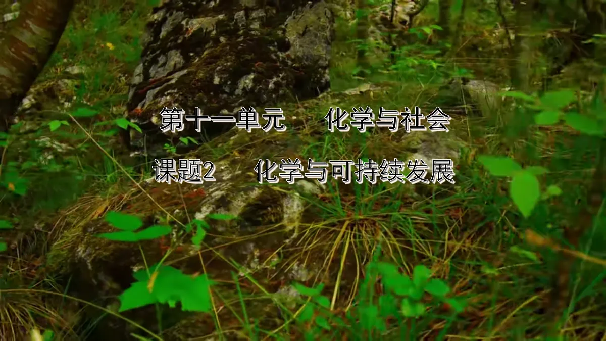18271909第1页