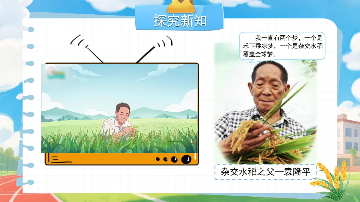 18272033第5页