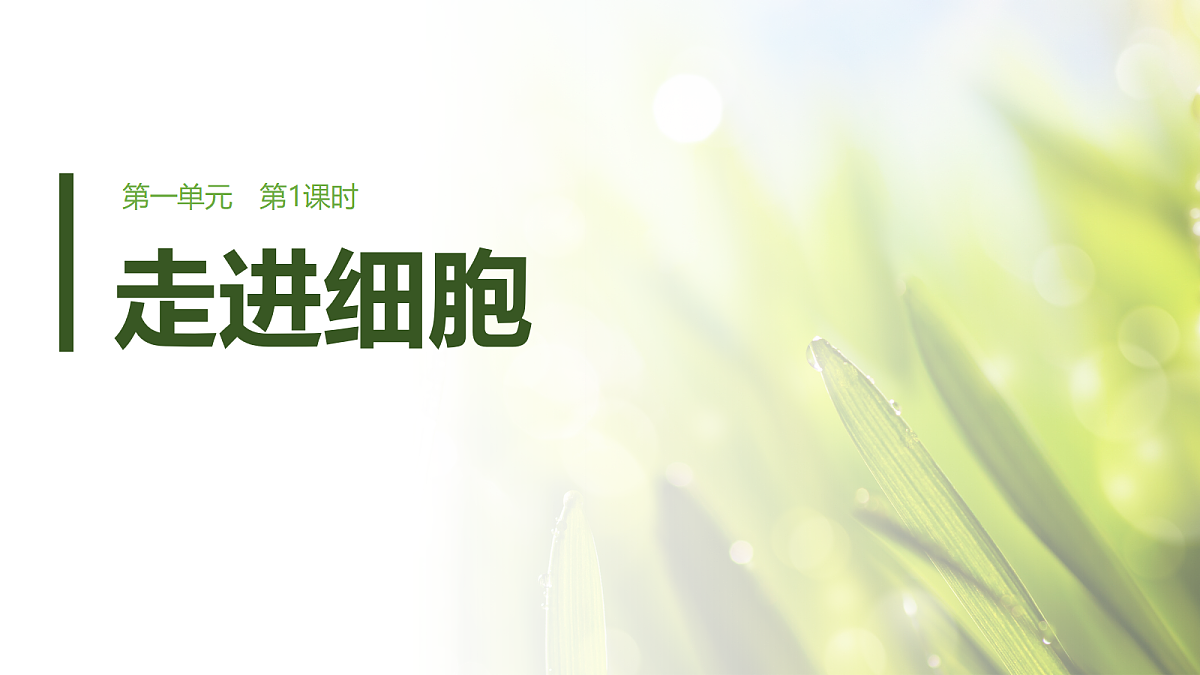 第一单元　第1课时　走近细胞第1页