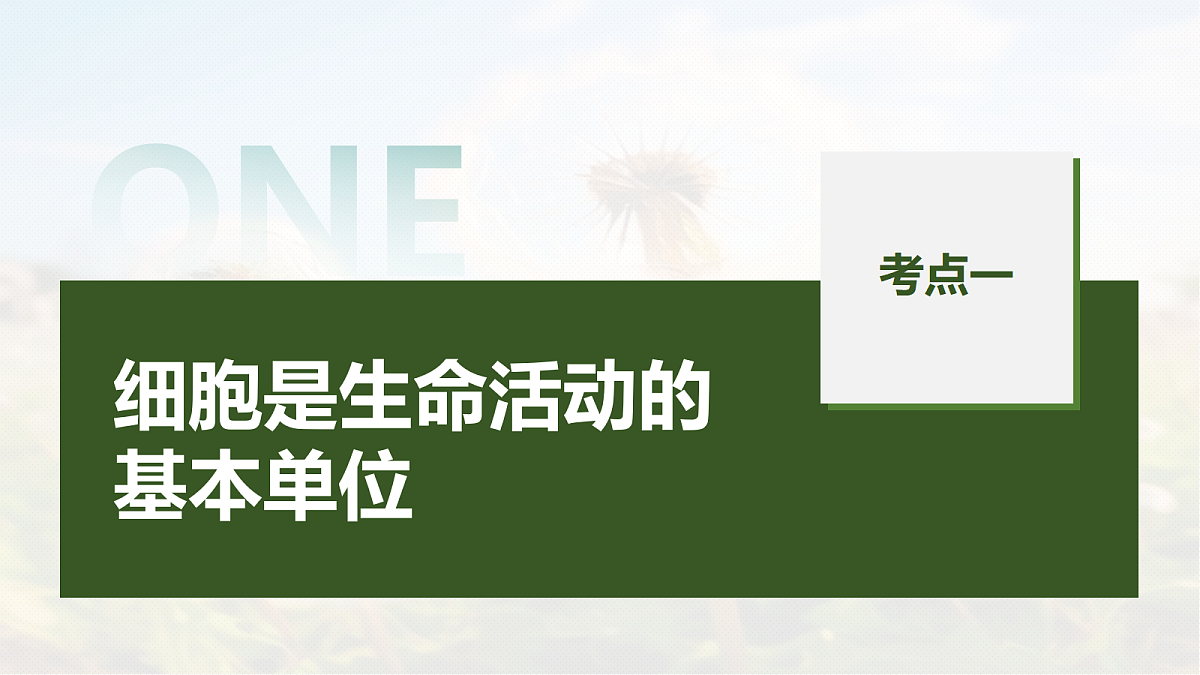 第一单元　第1课时　走近细胞第5页