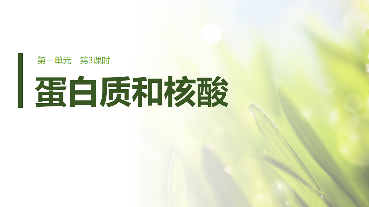 第一单元　第3课时　蛋白质和核酸第1页