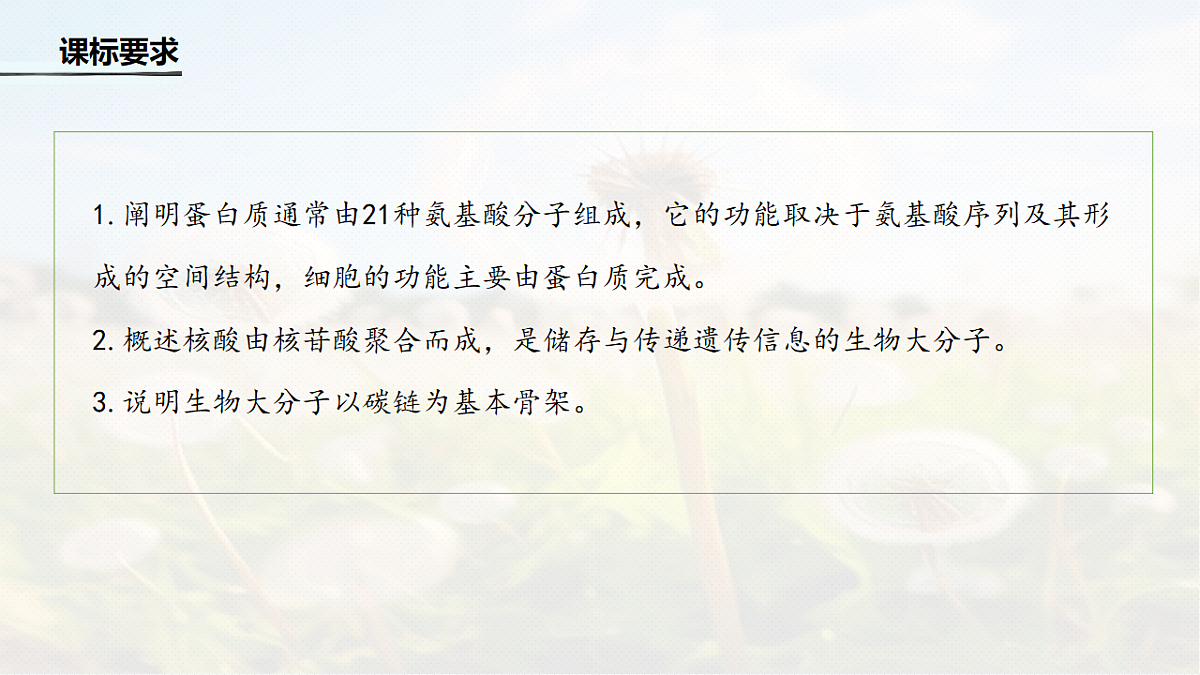 第一单元　第3课时　蛋白质和核酸第2页
