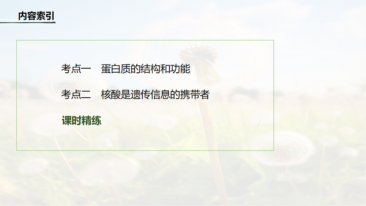 第一单元　第3课时　蛋白质和核酸第4页