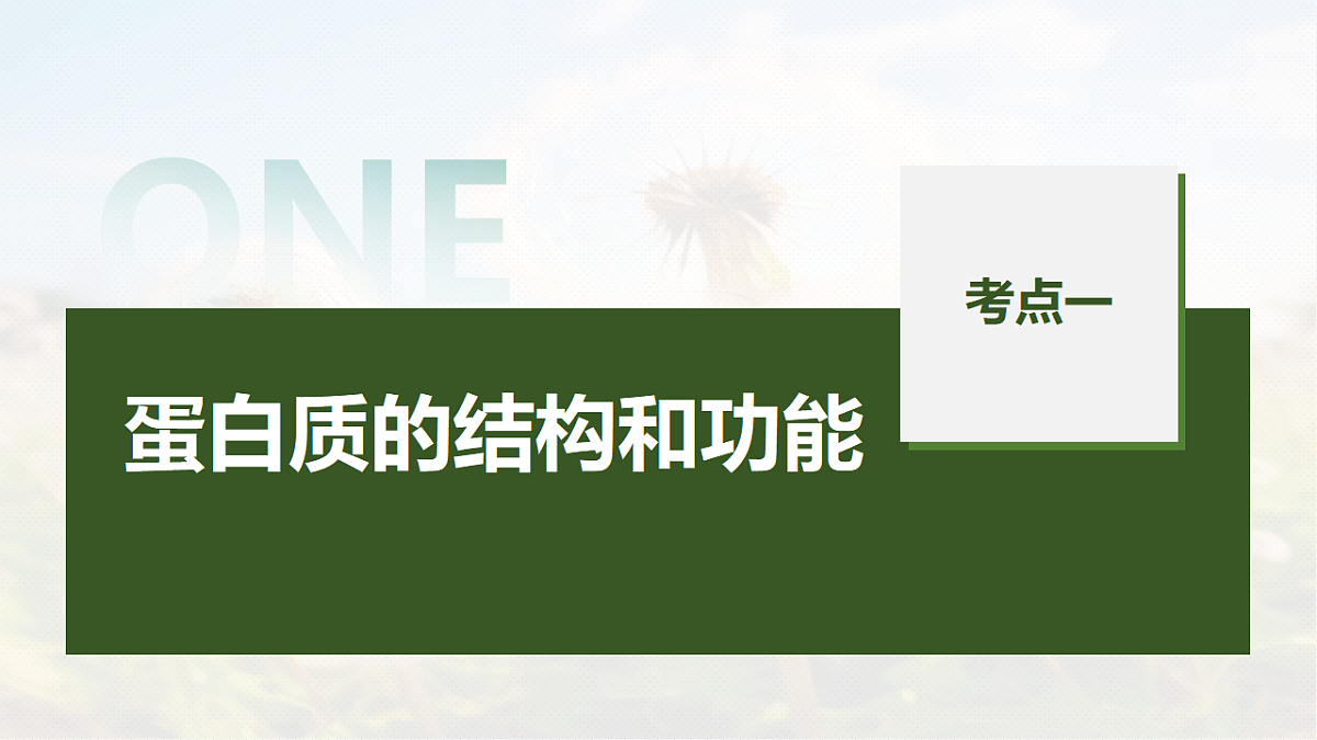 第一单元　第3课时　蛋白质和核酸第5页