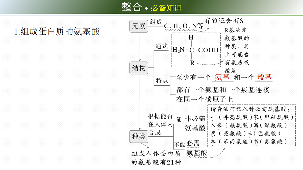第一单元　第3课时　蛋白质和核酸第6页