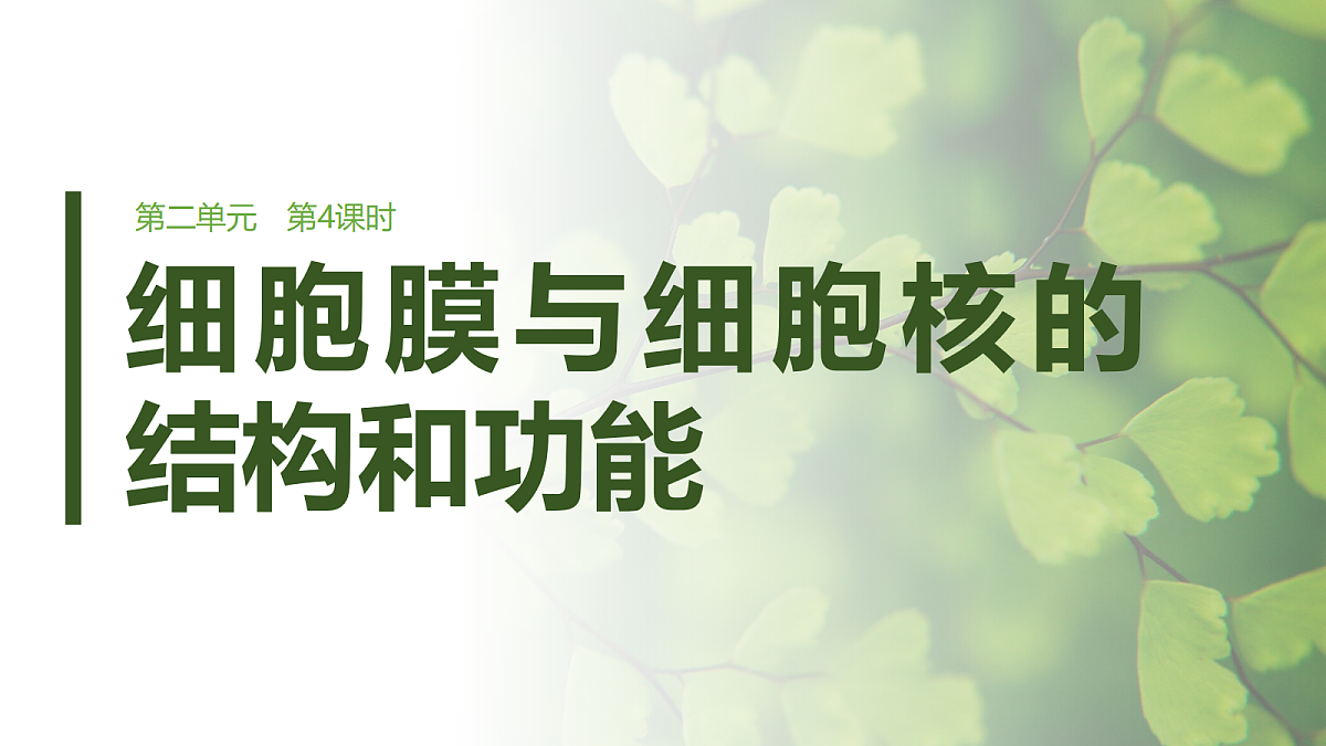 第二单元　第4课时　细胞膜与细胞核的结构和功能第1页