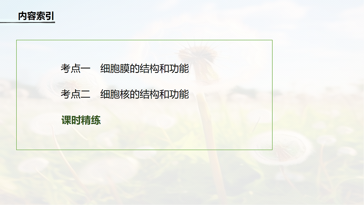 第二单元　第4课时　细胞膜与细胞核的结构和功能第4页