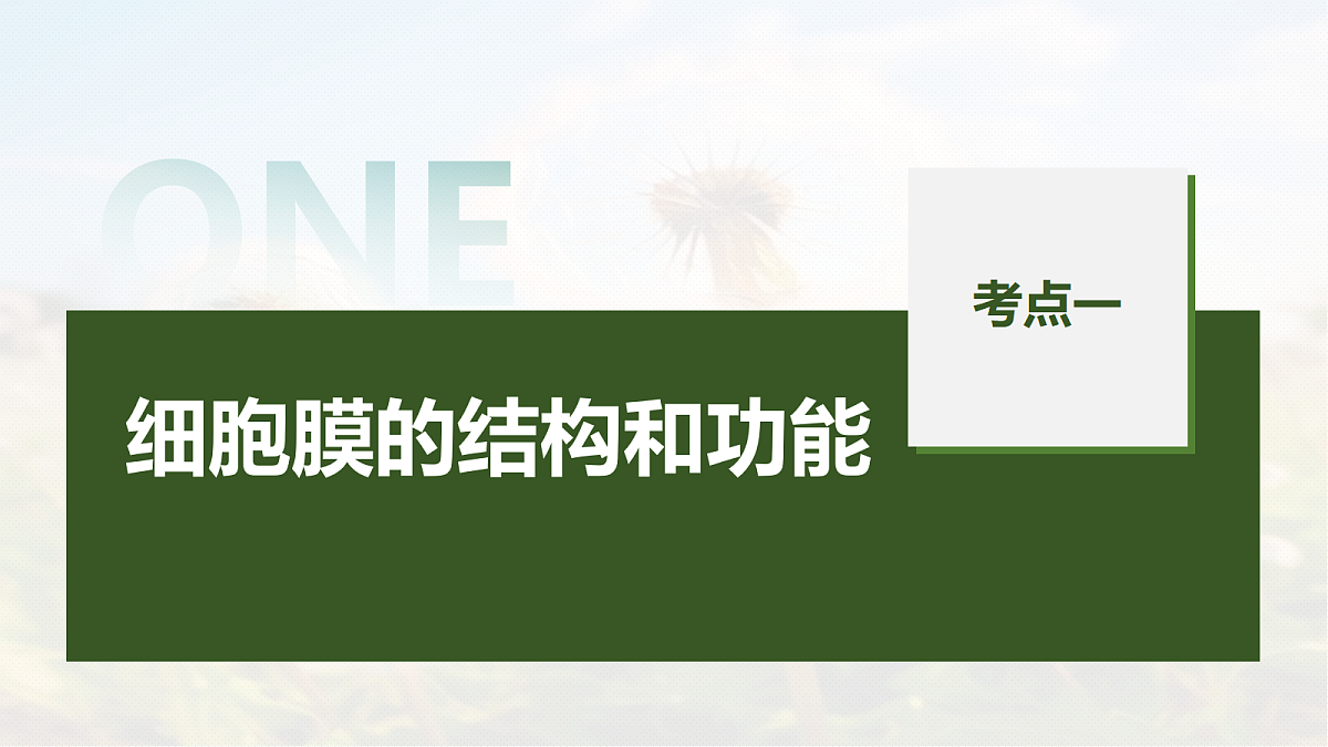 第二单元　第4课时　细胞膜与细胞核的结构和功能第5页
