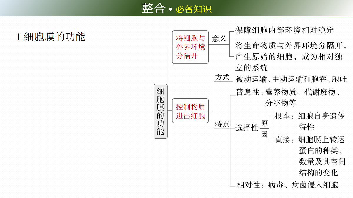 第二单元　第4课时　细胞膜与细胞核的结构和功能第6页