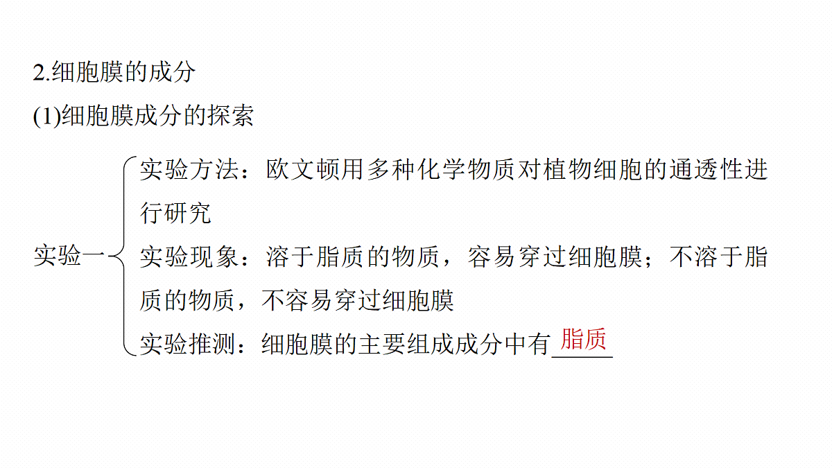 第二单元　第4课时　细胞膜与细胞核的结构和功能第8页