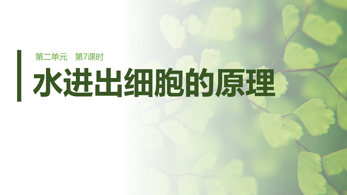 第二单元　第7课时　水进出细胞的原理第1页