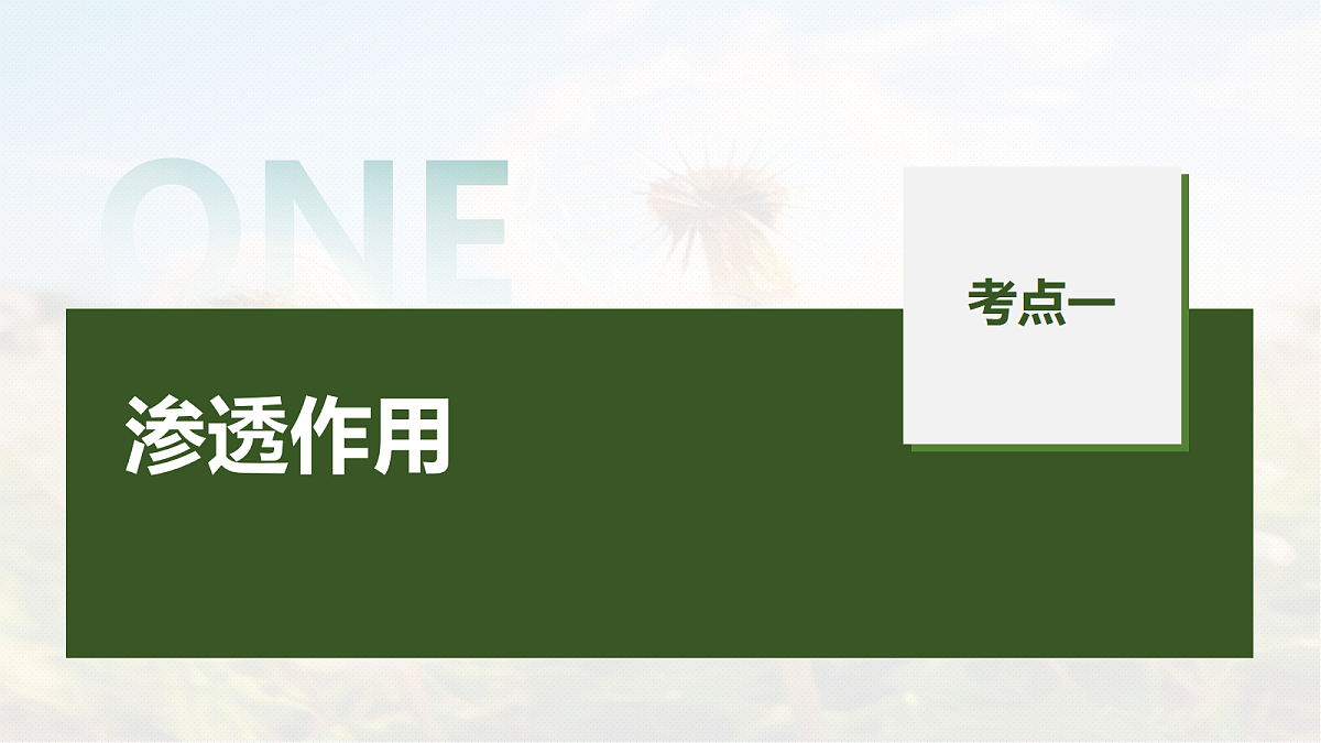 第二单元　第7课时　水进出细胞的原理第5页