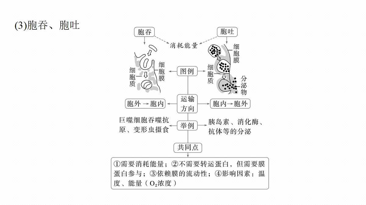 第二单元　第8课时　物质进出细胞的方式及影响因素第7页