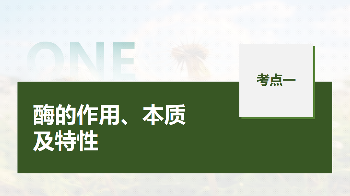 第三单元　第9课时　降低化学反应活化能的酶第5页
