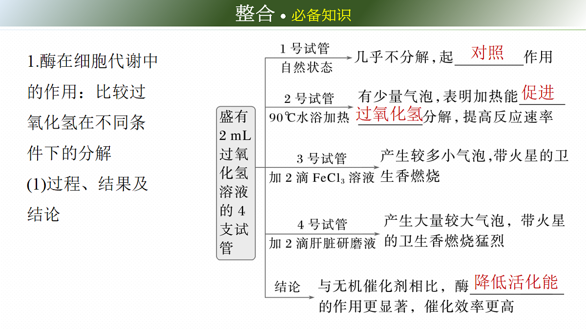 第三单元　第9课时　降低化学反应活化能的酶第6页